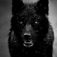 [MG]BadwolfGaming_